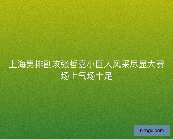 上海男排副攻张哲嘉小巨人风采尽显大赛场上气场十足 上海男排副攻张哲嘉小巨人风采尽显大赛场上气场十足