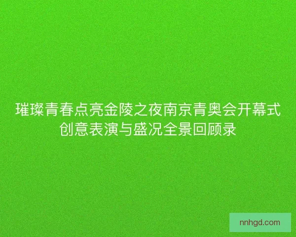 璀璨青春点亮金陵之夜南京青奥会开幕式创意表演与盛况全景回顾录