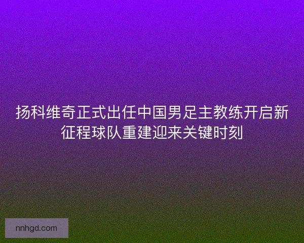 扬科维奇正式出任中国男足主教练开启新征程球队重建迎来关键时刻